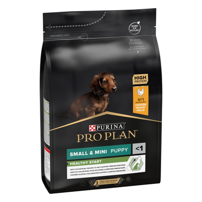 Puppy Essentials