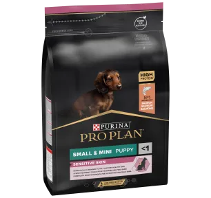 Dogs — Food