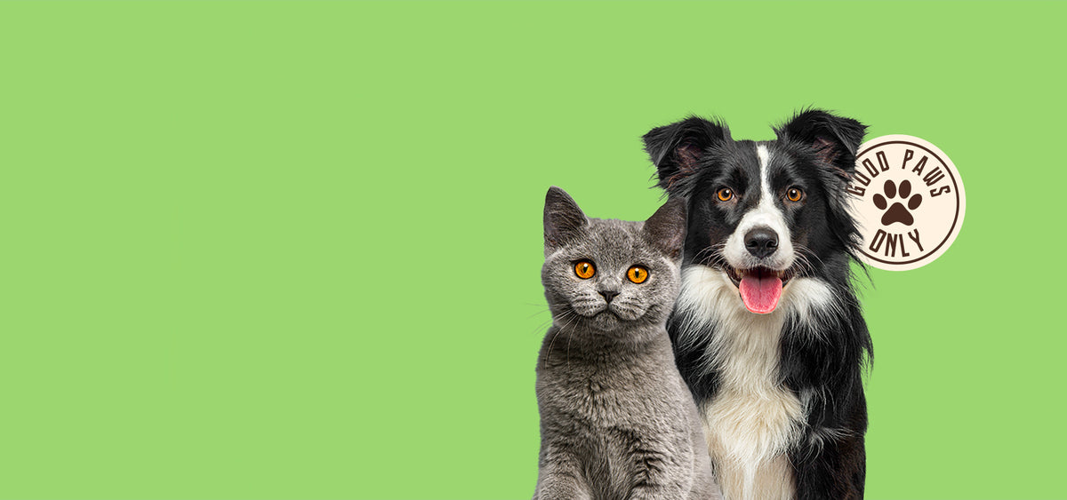 Triple Y Pet Shop